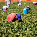 FieldWorkers FieldWorkers
