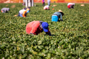 FieldWorkers FieldWorkers