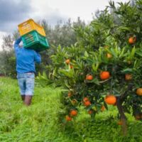 Worker_Agric Worker_Agric