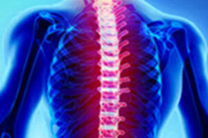 Spinal2 Spinal2